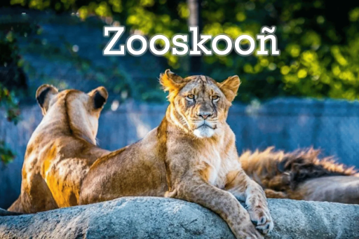 zooskooñ